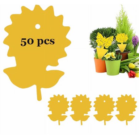 50 Pack Sticky Trap, Fruit Fly and Fungus Gnat Trap Killer Indoor and Outdoor, Protect The Plant, Non-Toxic and Odorless(Sunflower B)