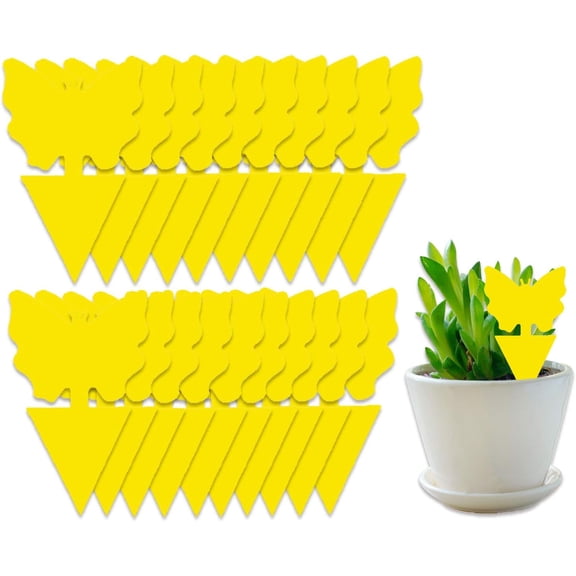 50 Pack Sticky Traps for Indoor/Outdoor Use, Gnat Trap for Flying Plant Insect Such as Fungus Gnats, Whiteflies, Aphids, Leafminers - Disposable Glue Fruit Fly TrapsButterfly