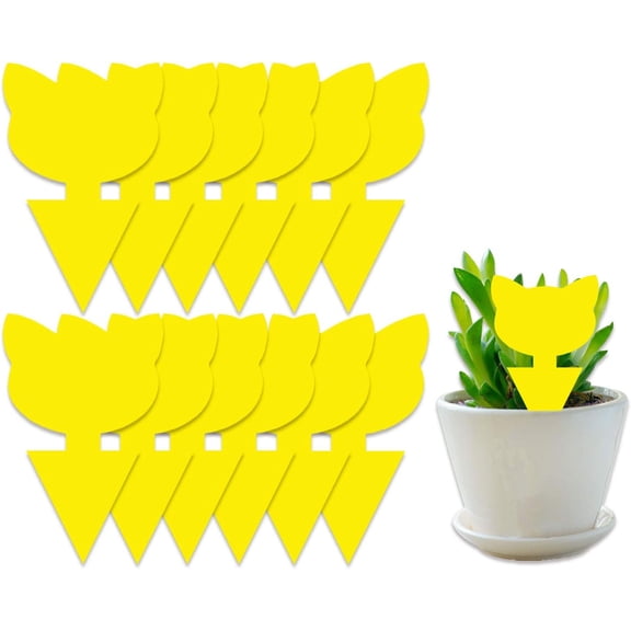 50 Pack Sticky Traps for Indoor/Outdoor Use, Gnat Trap for Flying Plant Insect Such as Fungus Gnats, Whiteflies, Aphids, Leafminers - Disposable Glue Fruit Fly TrapsCat