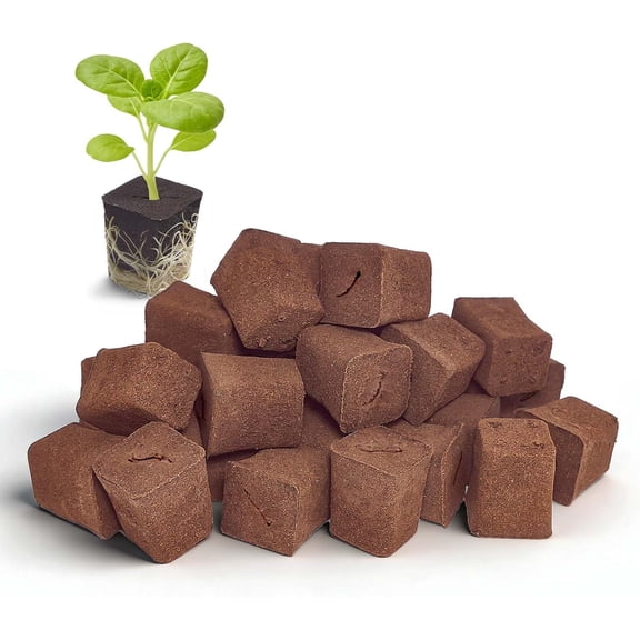 50 Packs Cuttage Grow Sponges, Pods Root Growth Sponge Eco Friendly PH Balance, Square Sponge Replacement Part Seedling Starter Sponges for Hydroponic Indoor Garden System Cuttage Rooting