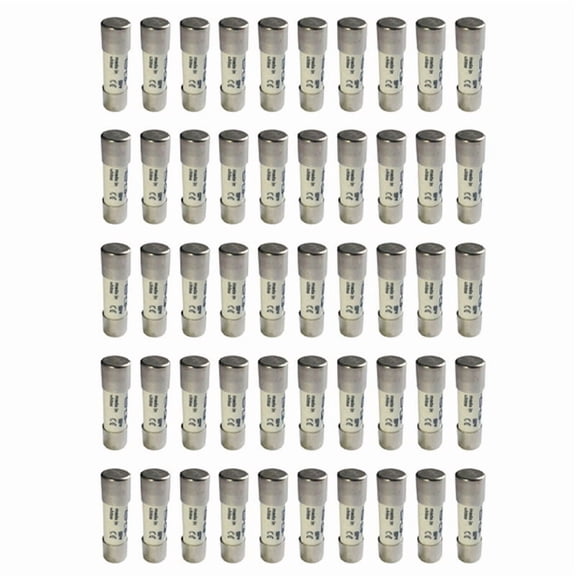 50 Pcs 1000 Fuse Solar PV Explosion-Proof Fuse Silver - 20A