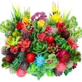 thumbnail image 1 of 50 Pcs Bulk Mini Artificial Succulents Plants Assorted Unpotted Realistic Plants Fake Textured Succulent Picks Realistic Plastic Cactus Stems for Succulent Garden Home Decor (Large Style), 1 of 5