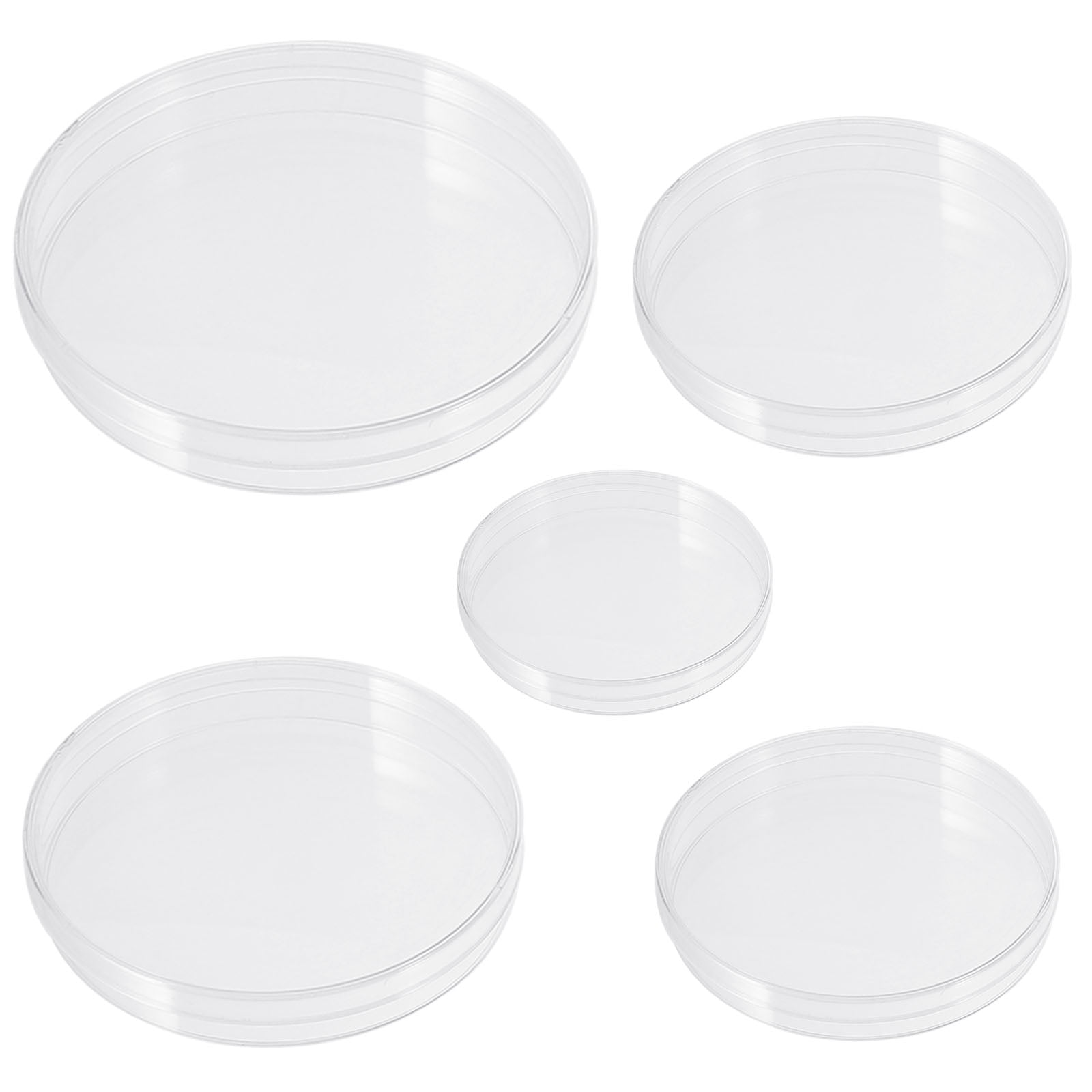 50 Pcs Cell Culture Dish Petri Dish Petri Dish for Science Experiments