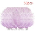 thumbnail image 1 of 50 Pcs Colourful Plumage Feathers for Wedding Diy Craft Hair Accessories Home Decoration Party Centerpieces, J, 1 of 3