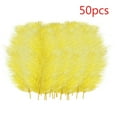thumbnail image 1 of 50 Pcs Colourful Plumage For Wedding Party Centerpieces Flower Arrangement Home Decoration Diy Middle Floating Plume Hair Clothing Craft Decoration Plumage, 1 of 3