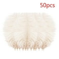 thumbnail image 1 of 50 Pcs Colourful Plumage For Wedding Party Centerpieces Flower Arrangement Home Decoration Diy Middle Floating Plume Hair Clothing Craft Decoration Plumage, 1 of 3