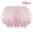 thumbnail image 1 of 50 Pcs Colourful Plumage For Wedding Party Centerpieces Flower Arrangement Home Decoration Diy Middle Floating Plume Hair Clothing Craft Decoration Plumage, 1 of 3