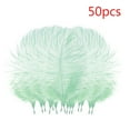 thumbnail image 1 of 50 Pcs Colourful Plumage For Wedding Party Centerpieces Flower Arrangement Home Decoration Diy Middle Floating Plume Hair Clothing Craft Decoration Plumage, 1 of 3