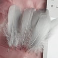 thumbnail image 1 of 50 Pcs Craft Feathers for Wedding Party Flower Arrangement, Diy Feathers for Hair Cat Stick, Clothing Craft Decoration, Kindergarten DIY Crafts Wedding Home Party Decoration Dream Catcher Supplies, 1 of 8