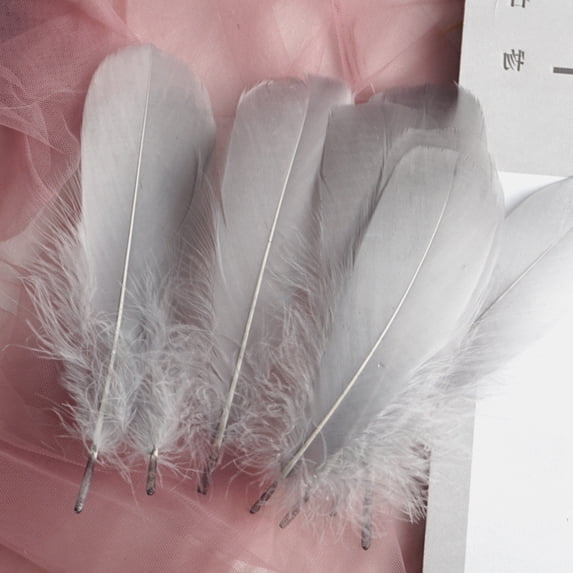 50 Pcs Craft Feathers for Wedding Party Flower Arrangement, Diy Feathers for Hair Cat Stick, Clothing Craft Decoration, Kindergarten DIY Crafts Wedding Home Party Decoration Dream Catcher Supplies
