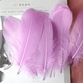 thumbnail image 1 of 50 Pcs Craft Feathers for Wedding Party Flower Arrangement, Diy Feathers for Hair Cat Stick, Clothing Craft Decoration, Kindergarten DIY Crafts Wedding Home Party Decoration Dream Catcher Supplies, 1 of 8
