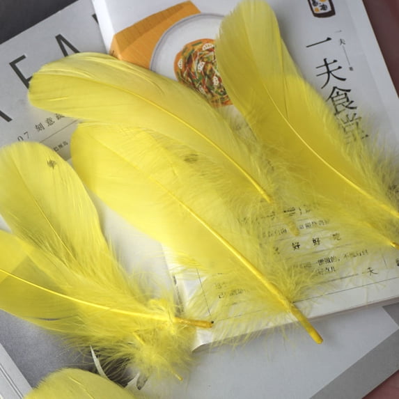 50 Pcs Craft Feathers for Wedding Party Flower Arrangement, Diy Feathers for Hair Cat Stick, Clothing Craft Decoration, Kindergarten DIY Crafts Wedding Home Party Decoration Dream Catcher Supplies