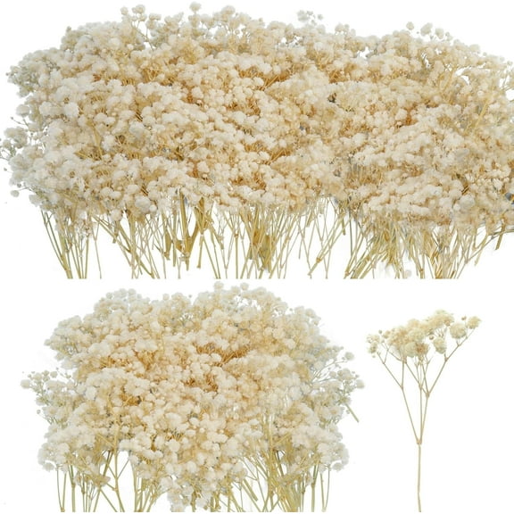 50 Pcs Dried Babys Breath Flowers Bouquet 5 inch Mini Dried Gypsophila Branches Dry Flowers Bouquet for Crafts Press Flowers Wedding Wreath Flower Wreaths Card Making DIY,Beige