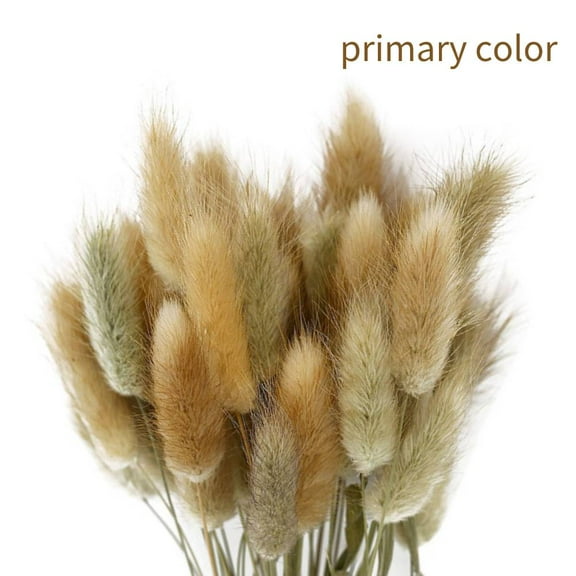 50 Pcs Dried Pampas Grass,18" Natural Dried Grass,Real Flowers Bouquet,Wedding Home Decor,Housewarming Gift