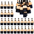 50 Pcs Hanging Car Air Freshener Car Diffuser Bottles Empty Car