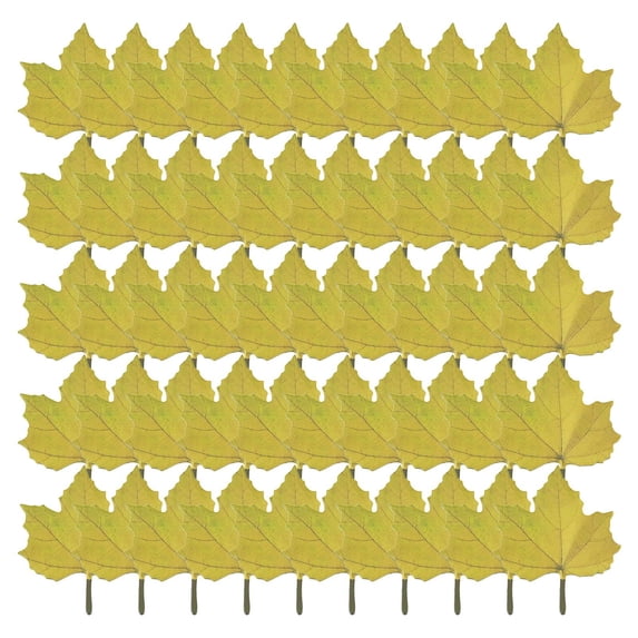 50 Pcs Maple Leaf Sticky Notes, 3.34X2.75" Fall Leaf Shaped Adhesive Memo, Double Printed Decorative Notepads, Autumn Theme Reminder Slips, Thanksgiving Table Markers, Seasonal Paper Note Supplies