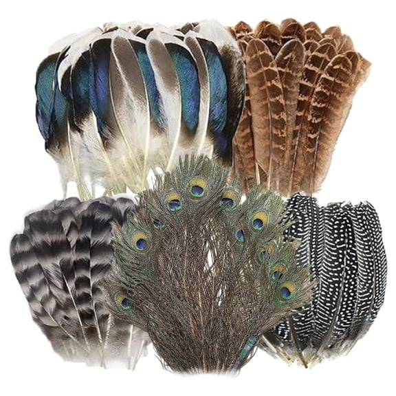 50 Pcs Natural Feathers Bulk,6 Styles Assorted Peacock, Pheasant,Turkey Feathers,DIY Handmade Material,Suitable for Wedding,Halloween and Home Parties