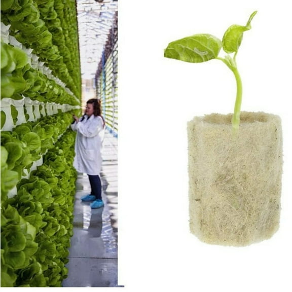 50 Pcs Rockwool Starter Plugs for Hydroponics,Topboutique Rockwool Cube Propagation Hydroponic Block,Rockwool Grow Cubes,Seed Starter Plugs,Rock Wool Cubes for Plant Propagation