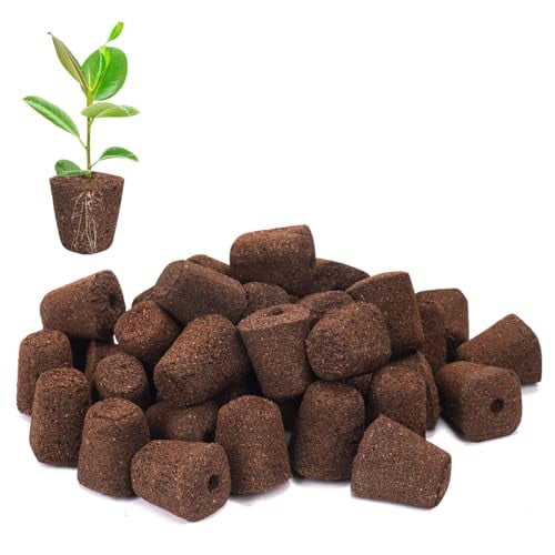 50 Pcs Seed Starter Plugs,Replacement Root Grow Sponges Plant Plugs,Great for Soil, Tray or Planting Pods, Promotes Herbs, Vegetables and Flowers Growth$$Garden & Patio