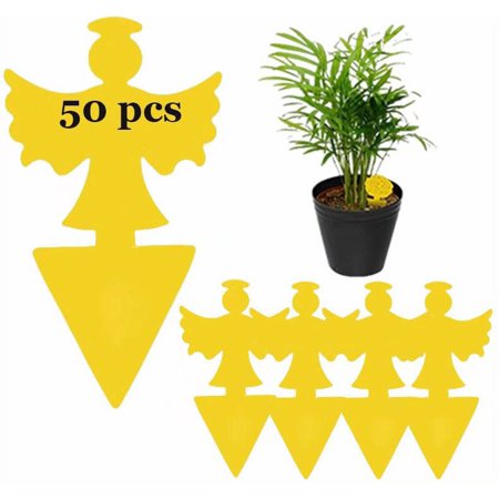 50 Pcs Sticky Traps for Fruit Fly, Whitefly, Fungus Gnat, Mosquito and Bug, Yellow Sticky Insect Catcher Traps for Indoor/Outdoor/Kitchen, Extremely Sticky Fly Trap, Non-Toxic(Angel)