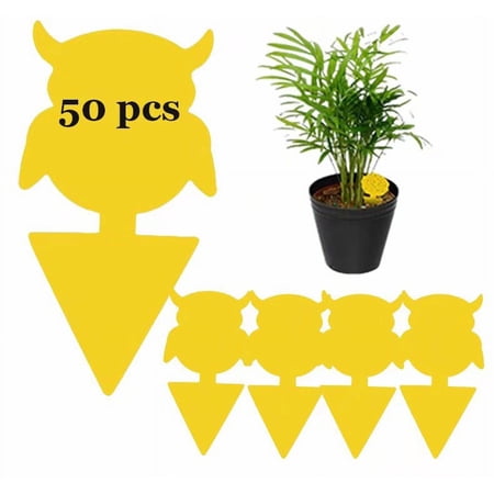 50 Pcs Sticky Traps for Fruit Fly, Whitefly, Fungus Gnat, Mosquito and Bug, Yellow Sticky Insect Catcher Traps for Indoor/Outdoor/Kitchen, Extremely Sticky Fly Trap, Non-Toxic(Demon)