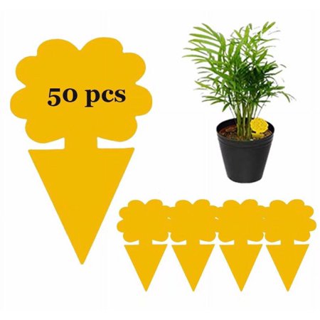 50 Pcs Sticky Traps for Fruit Fly, Whitefly, Fungus Gnat, Mosquito and Bug, Yellow Sticky Insect Catcher Traps for Indoor/Outdoor/Kitchen, Extremely Sticky Fly Trap, Non-Toxic(Flower B)