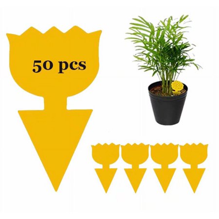 50 Pcs Sticky Traps for Fruit Fly, Whitefly, Fungus Gnat, Mosquito and Bug, Yellow Sticky Insect Catcher Traps for Indoor/Outdoor/Kitchen, Extremely Sticky Fly Trap, Non-Toxic(Lotus)