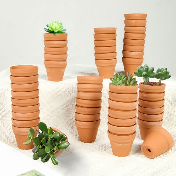 50 Pcs Tiny Terracotta Pots - 1.3 inch Small Mini Clay Pots with Drainage Holes Flower Nursery Terra Cotta Pots for Indoor/Outdoor Succulent Plants, Crafts, Wedding Favor