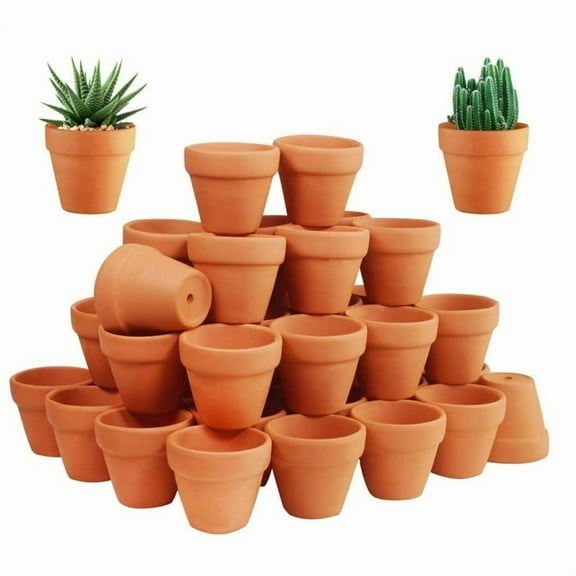 50 Pcs Tiny Terracotta Pots - 1.3 inch Small Mini Clay Pots with Drainage Holes Flower Nursery Terra Cotta Pots for in/outdoor
