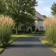 thumbnail image 1 of 50 Perennial Calamagrostis Karl Foerster Feather Reed Ornamental Grass - Privacy Border - Deer Rabbit Resistant - Zone 4-9, 1 of 5