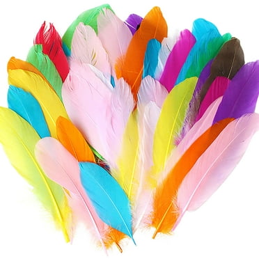 50 Pieces 8-12cm Natural Colourful Feathers for Kids Handmade DIY Craft Wedding Party Home Decorations, Random Color