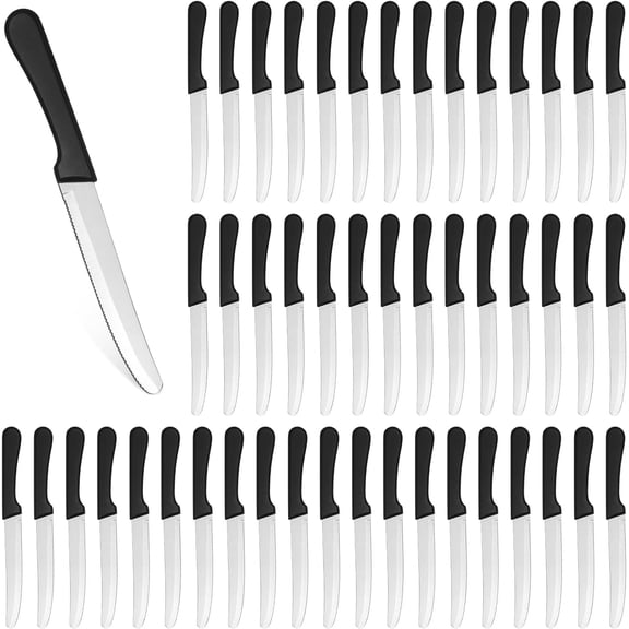 50 Pieces 8.5 Inch Rounded Serrated Blade Steak Knives Stainless Steel Round Tip Blade Steak Knife with Plastic Handle for Kitchen Butter Cutlery Restaurant(Black)