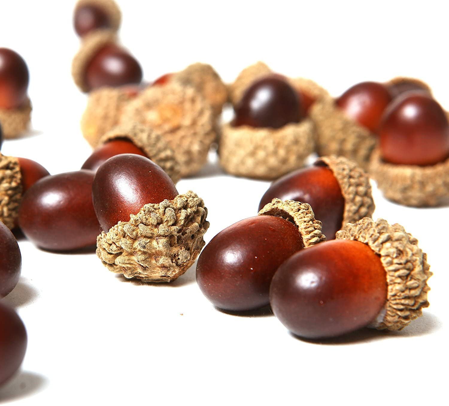 50 Pieces Artificial Acorns With Natural Acorn Cap Fake Acorn For Decoration Home House Kitchen Decor Christmas Decoration Autumn Table Sprinkle Crafts