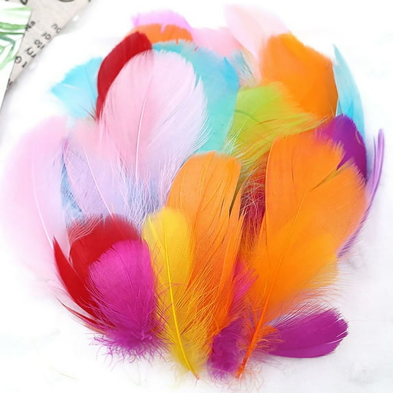 Colorful DIY Feather Craft Kit - 50 Set Natural Animal Feather Manual Decoration Toy for Kids Arts & Crafts