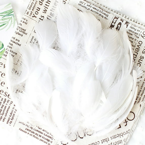50 Pieces Natural Colorful Feather Craft Kit DIY Art Supplies for Kids