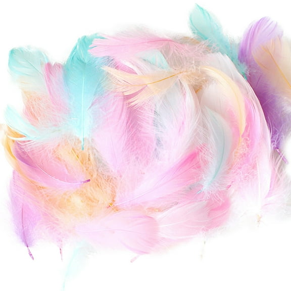 50 Pieces Natural Colorful Feather Craft Set - for DIY, Kids, Decorations