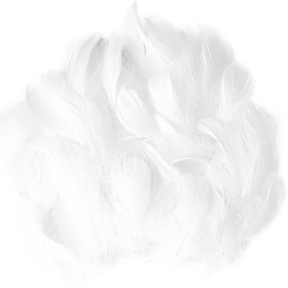 50 Pieces Set Natural Colourful DIY Feather Craft Toy Creative Natural Animal Feather Manual DIY Material Decoration Toy For Kids