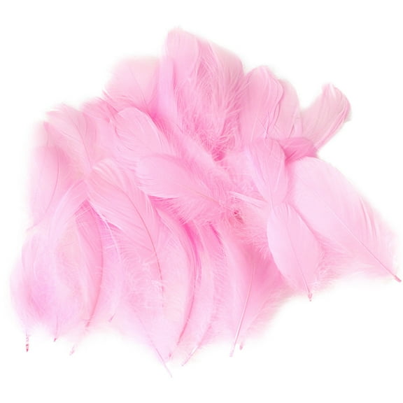 50 Pieces Set Natural Colourful DIY Feather Craft Toy Feather Material Creative Kids