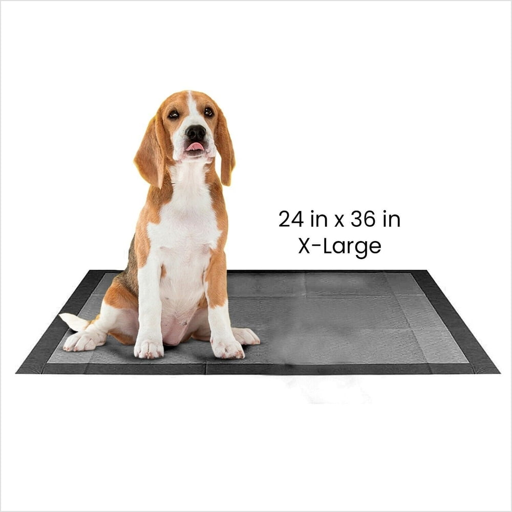 50 Pieces XLarge Dog Training Pads 24"x36" 5Layer Protection Charcoal
