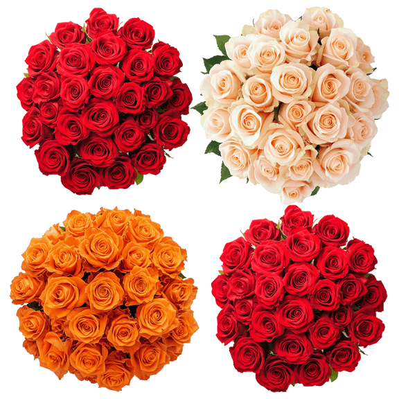 50 Red Roses and 50 Color Roses- 100 Half Red / Half Color Roses. Fresh Cut Flowers