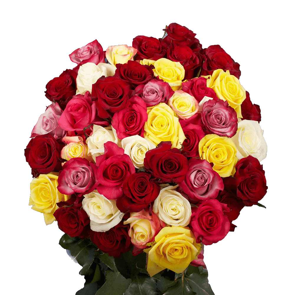 54 Roses 50 Roses 25 Red and 25 One Color - Walmart.com