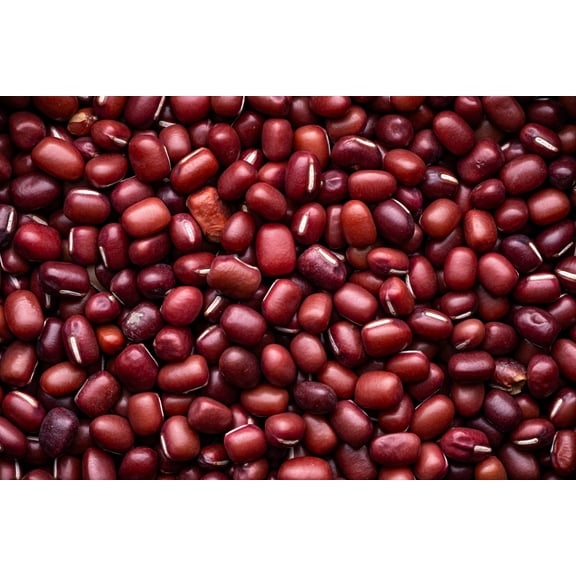 50 Seeds ADZUKI BEAN Aduki Red Bean Maroon Phaseolus Angularis Legume Vegetable Seeds