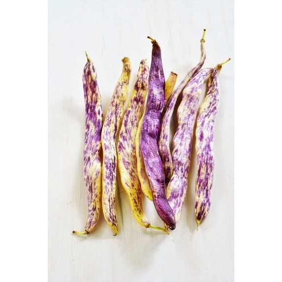 50 Seeds DRAGON TONGUE Wax BEAN Yellow & Purple Dragon's Tongue Phaseolus Vulgaris Legume Vegetable Seeds