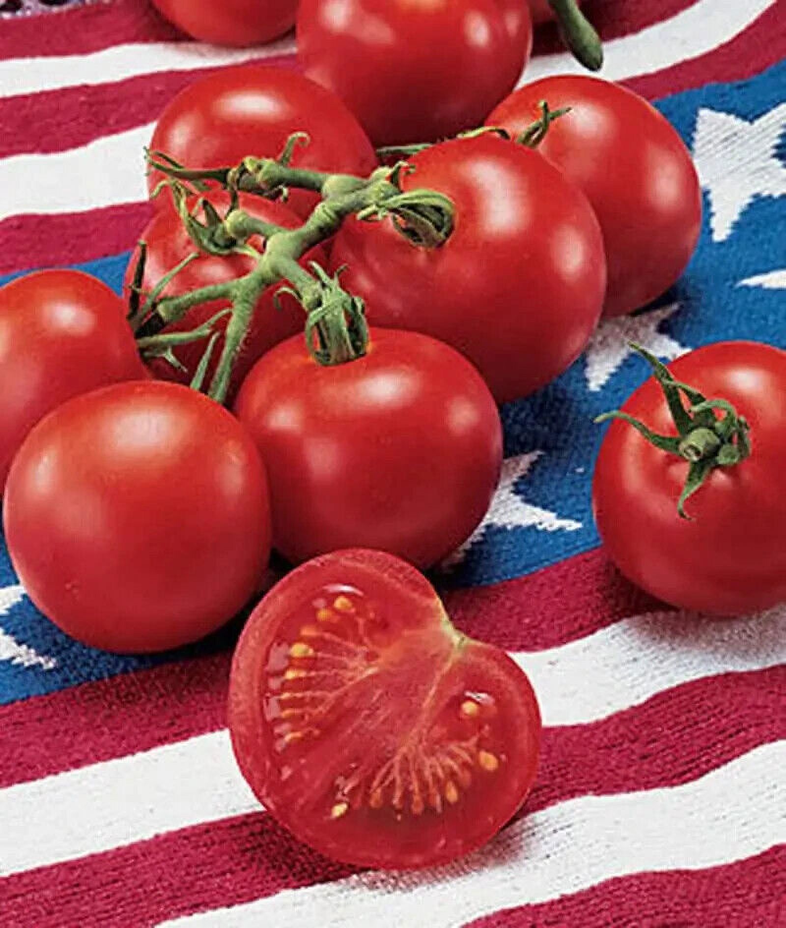 50+ Seeds FOURTH OF JULY TOMATO Vegetable Garden Planting Tomatoe USA - Walmart.com