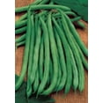 thumbnail image 1 of 50 Seeds FRENCH Blue Lake POLE BEAN Phaseolus Vulgaris Vegetable Seeds, 1 of 5