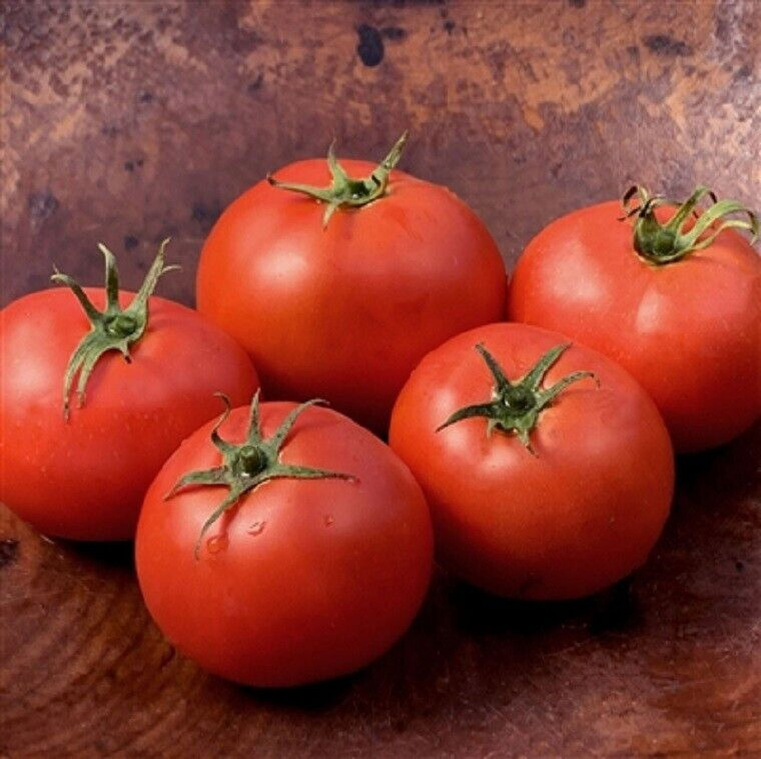 50+ Seeds Jet Star Tomato Hybrid Vegetable Garden Planting Tomatoe USA