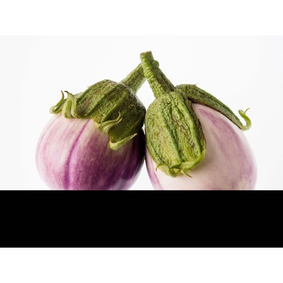 50 Seeds Organic Italian EGGPLANT ROSA BIANCA Solanum Melongena Esculentum Vegetable Seeds