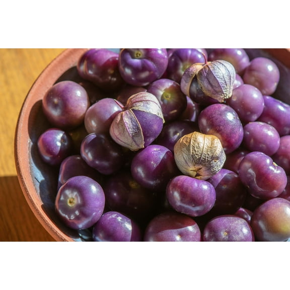 50 Seeds PURPLE TOMATILLO Husk Tomato Physalis Ixoxcarpa Fruit Vegetable Seeds