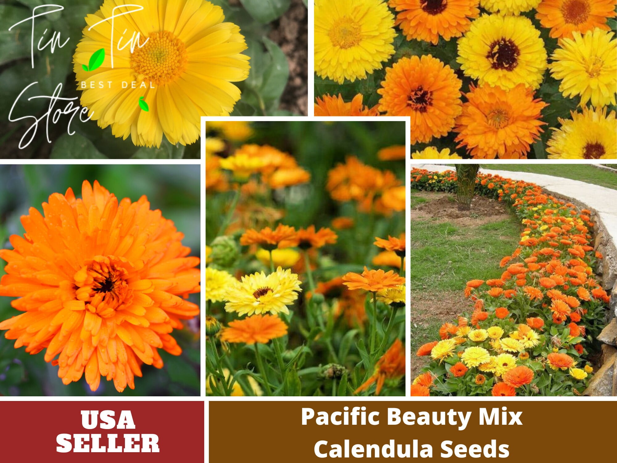 50+ Seeds Pacific Beauty Mix Calendula Flower Seeds [BUY 3 GET 1 FREE