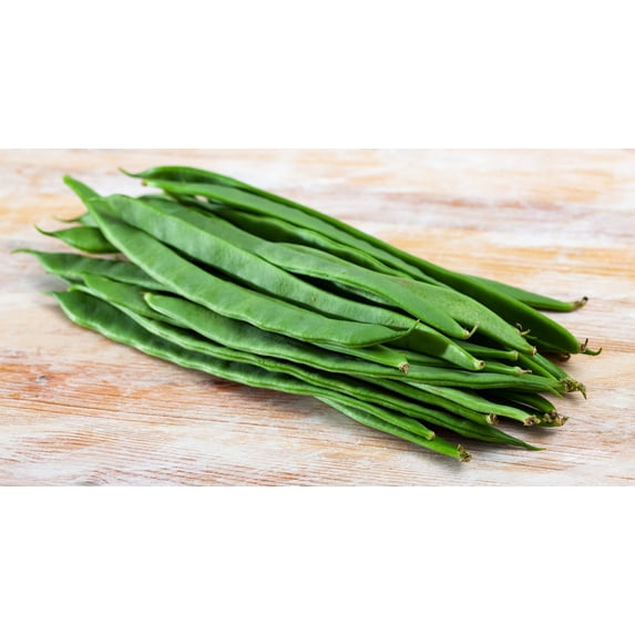 Seedville USA, Vegetable Seeds, Roma Italian Green Bean, Bush Bean ...